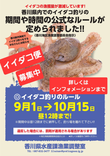 イイダコ便　募集中‼️