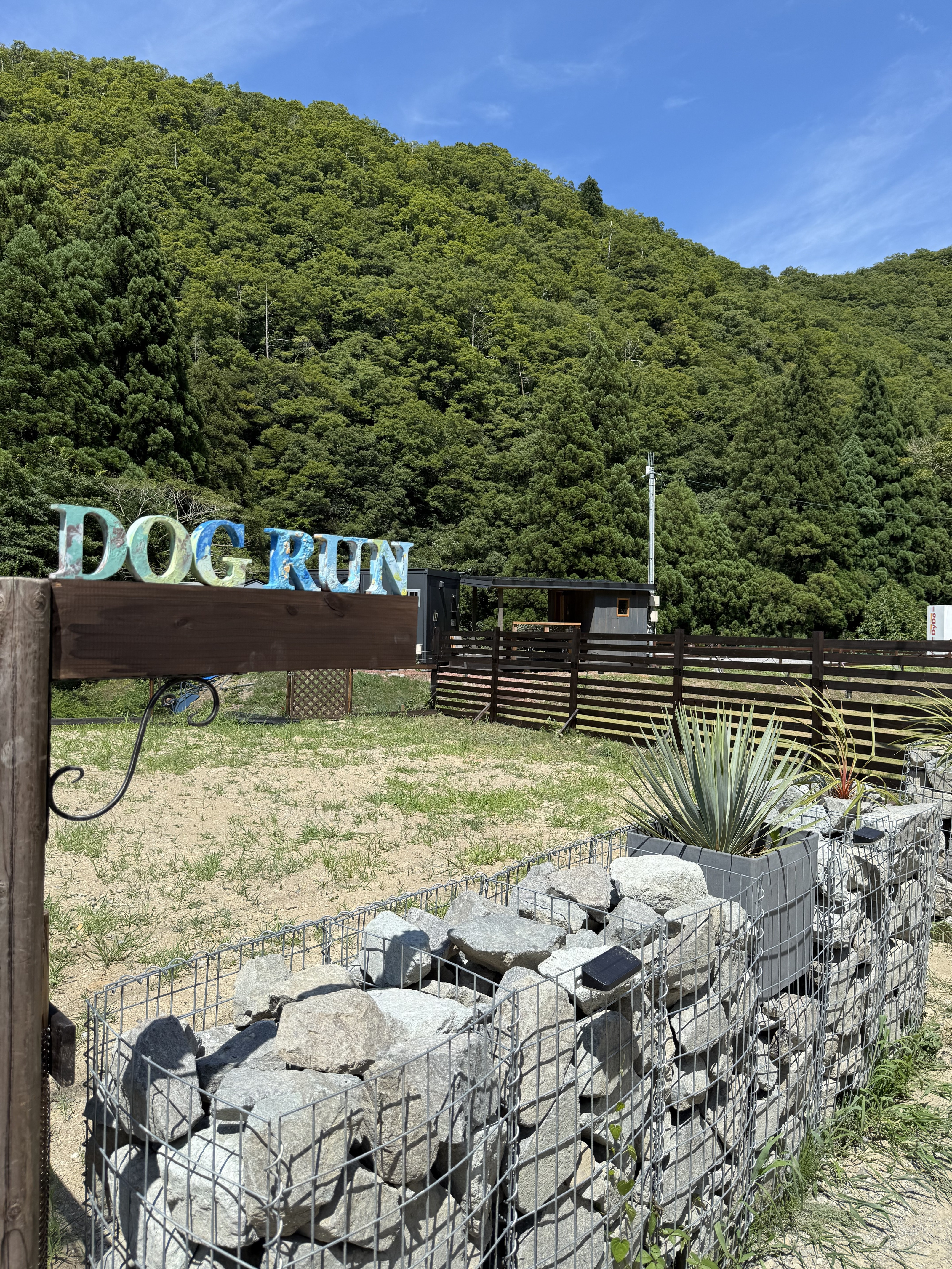 8月1日よりdog run site open