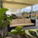 S__14041128.jpg