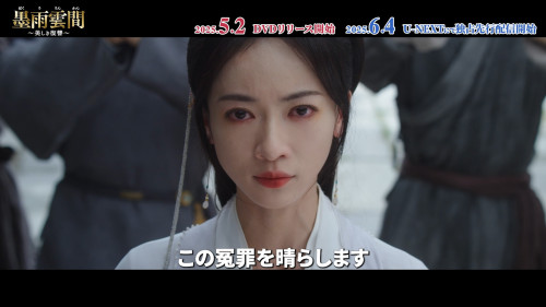 「墨雨雲間～美しき復讐～」配信＆DVD スペシャルPV「逆境にめげない美しい才女の復讐への道」_2.jpg