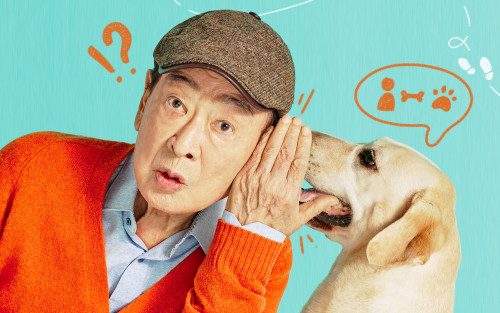 犬の声メイン.jpg
