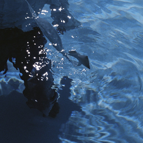 ini_fengfan_Like Water.JPG