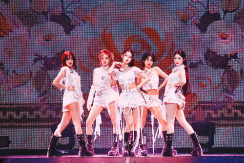 20251007ライブ写真素材3.jpg