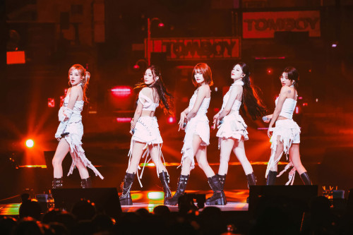 20251007ライブ写真素材5.jpg