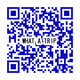 QR_WHAT A TRIP.png