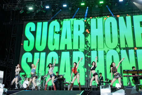 BM_2026 SUMMER SONIC_07.jpg