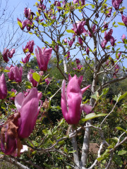 DSC_1639.JPG