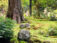 三千院　庭.jpg