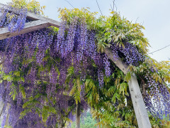 IMG_9825.jpeg