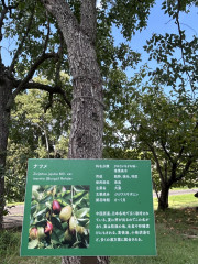 IMG_0138.jpeg