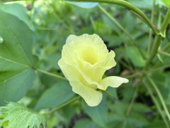 IMG_0141.jpeg