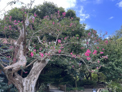 IMG_0292.jpeg