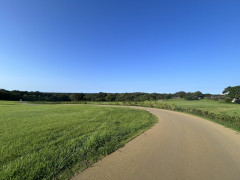 IMG_1158.jpeg