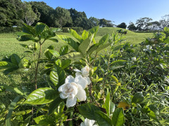 IMG_1157.jpeg