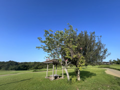 IMG_1159.jpeg