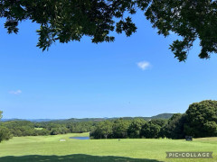 IMG_1166.jpeg