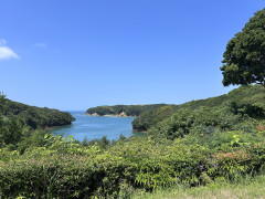 IMG_1162.jpeg