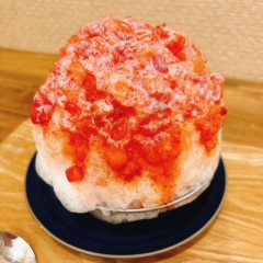 image8.jpeg
