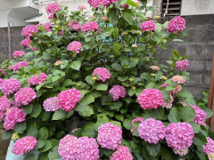 image1.jpeg