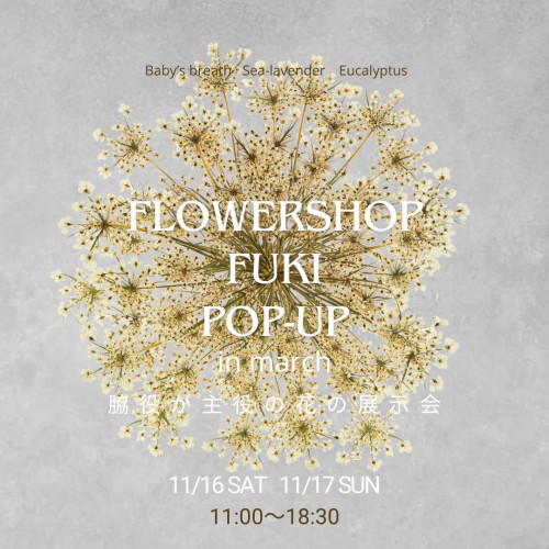 POPUP展示会  脇役が主役の花の展示会