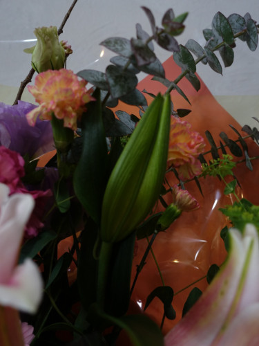 DSC08917.jpeg