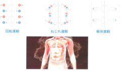 細胞へ深部熱発生メカニズム図.png