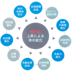 深部熱上昇効果図.png