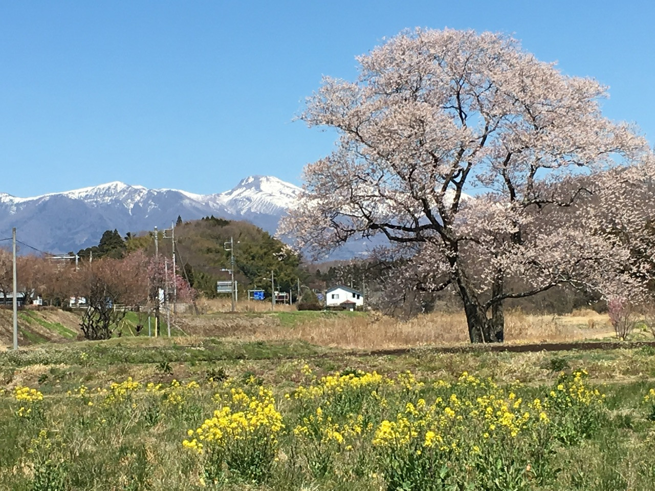 カナザワ塗装　一般住宅塗装
