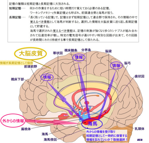 記憶.jpg