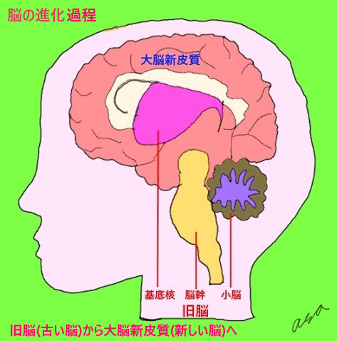 kioku8.jpg