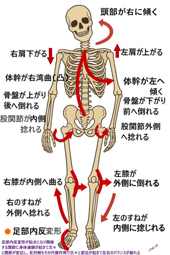 身体連鎖.jpg