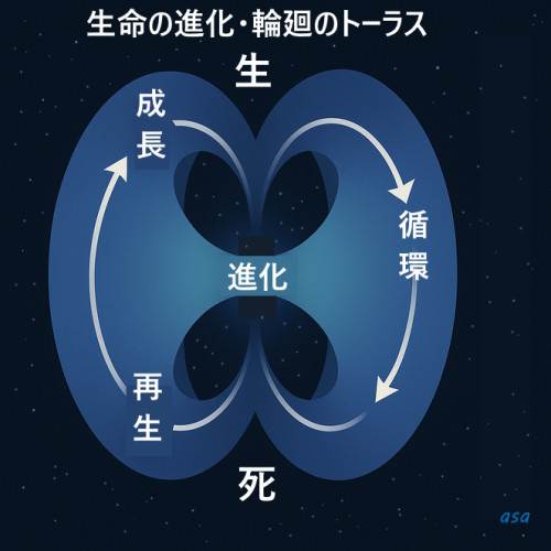 トーラス①-1.jpg