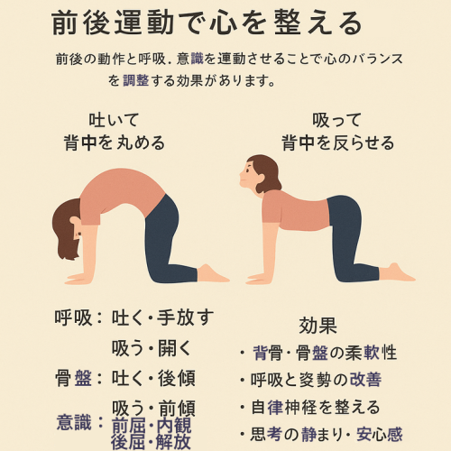 猫のポーズ.png