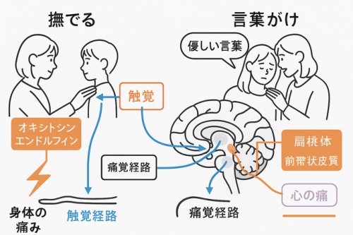 心の痛み①.png