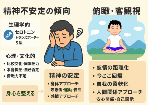 俯瞰2.png