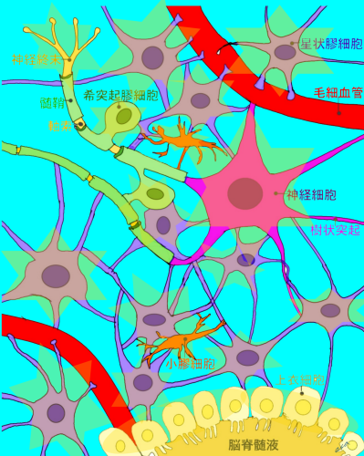 neuronmap 1.png