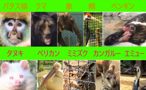 zoo.png