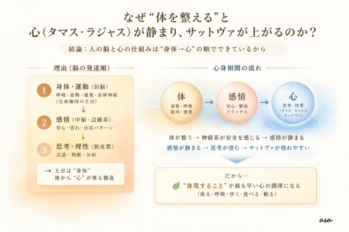 8ae50ed5-7112-4790-a072-96c88c9d817e (1).png