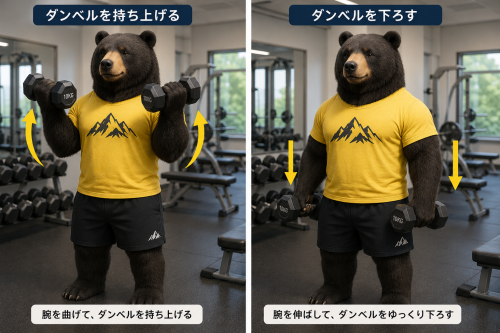 クマ.png