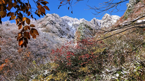 山7.jpg