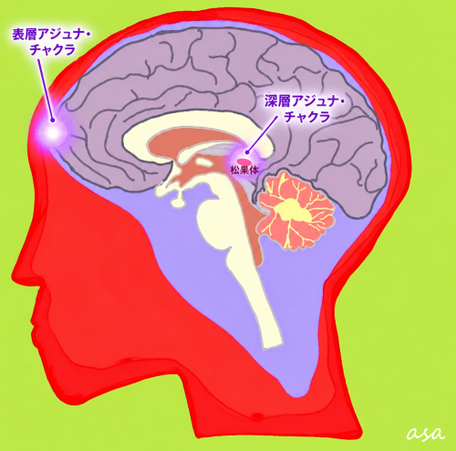 ayakaチャクラ1.png