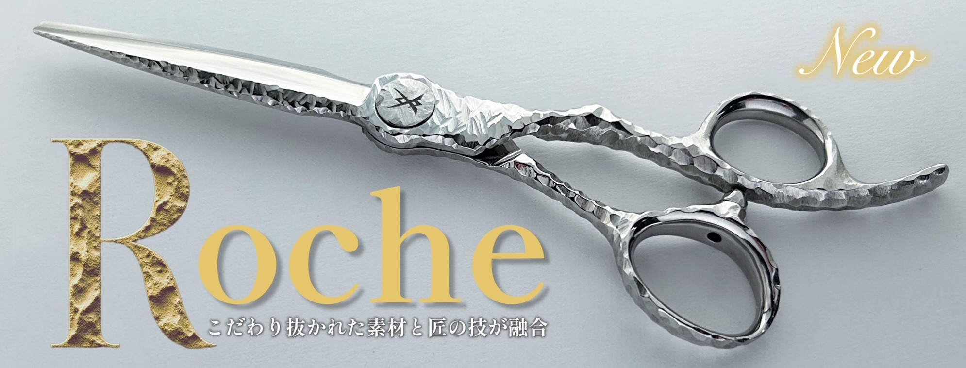 roche見出し.JPEG