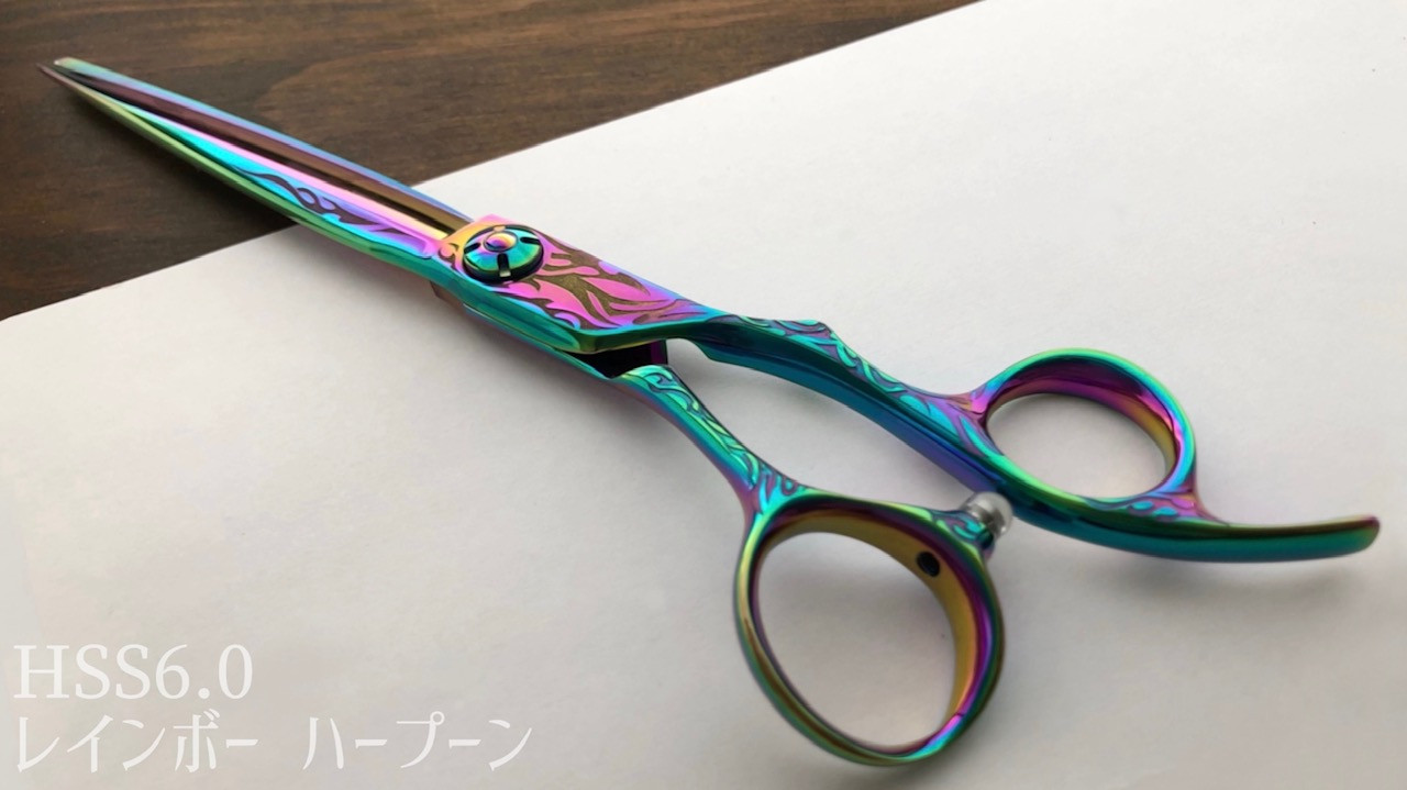 hss60レインボーハープーンf202608.jpg
