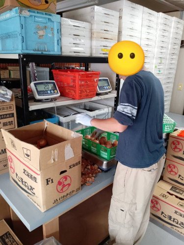 作業.jpg