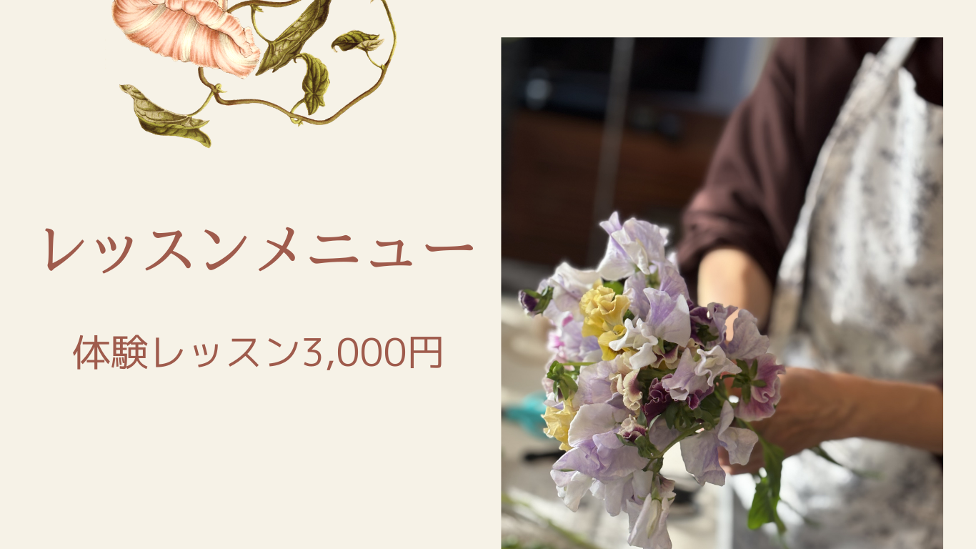 レッスンメニュー