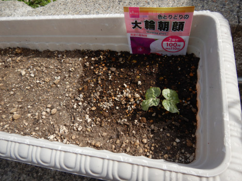 DSCN5091.JPG