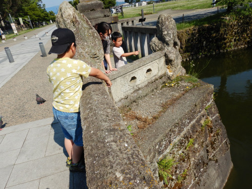 DSCN5238.JPG