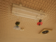 DSCN5289.JPG