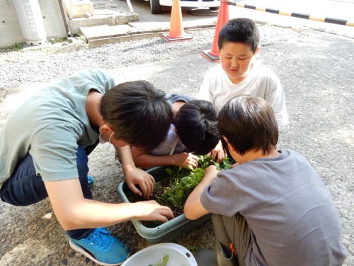 s-DSCN5716.jpg
