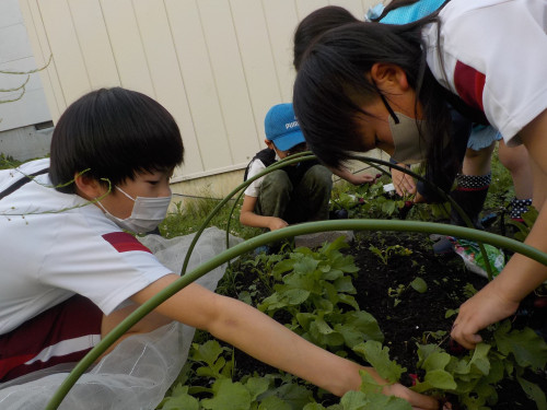 s-DSCN0439.jpg